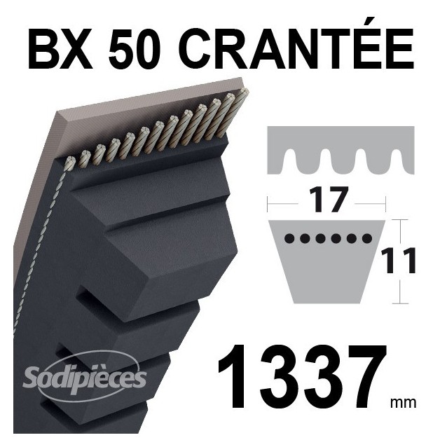 Courroie BX50 Trapézoïdale crantée. 17 mm x 1337 mm.