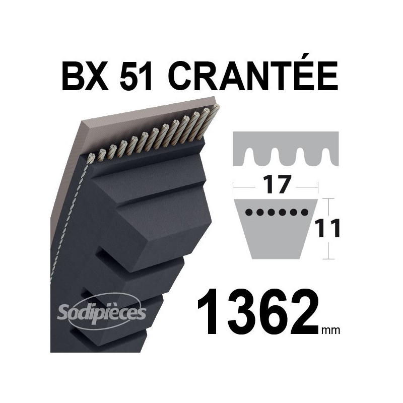 Courroie BX51 Trapézoïdale crantée. 17 mm x 1362 mm.