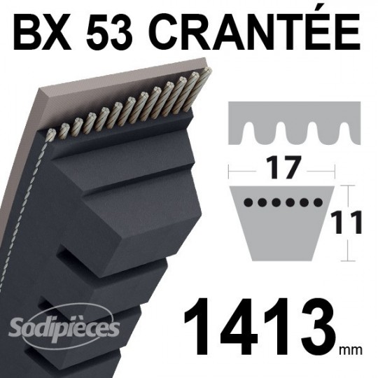 Courroie BX53 Trapézoïdale crantée. 17 mm x 1413 mm.