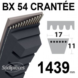 Courroie BX54 Trapézoïdale crantée. 17 mm x 1439 mm.