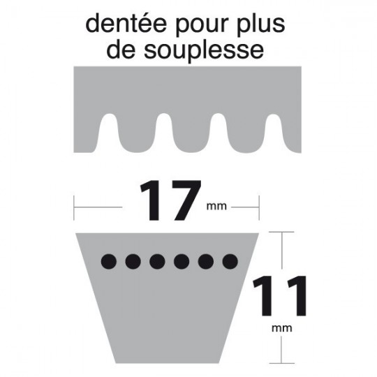 Courroie BX55 Trapézoïdale crantée. 17 mm x 1464 mm.