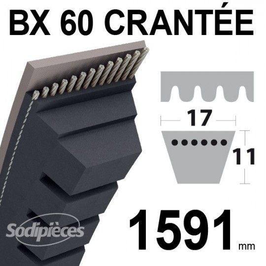 Courroie BX60 Trapézoïdale crantée. 17 mm x 1591 mm.