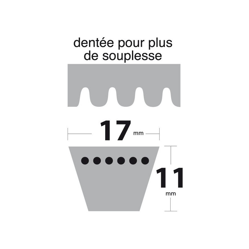 Courroie BX60 Trapézoïdale crantée. 17 mm x 1591 mm.