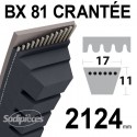 Courroie tondeuse BX81 Trapézoïdale crantée. 17 mm x 2124 mm.