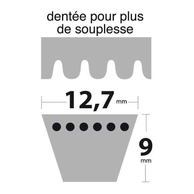 Courroie XPA800 Trapézoïdale Crantée. 12,7 mm x 817 mm.