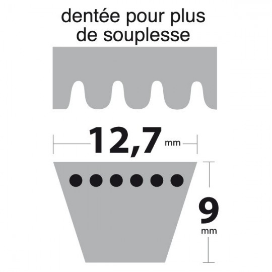 Courroie XPA800 Trapézoïdale Crantée. 12,7 mm x 817 mm.