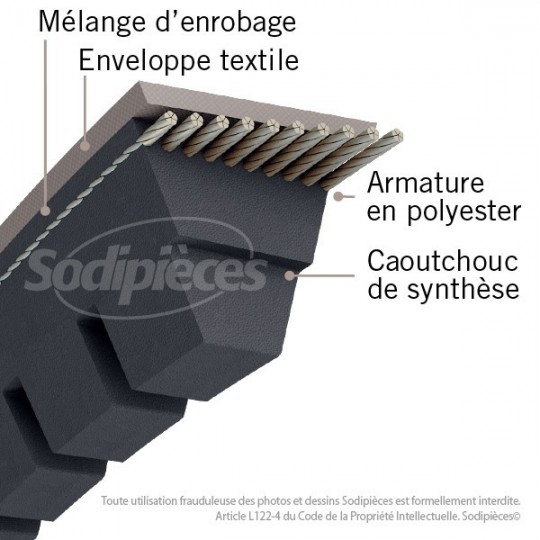 Courroie XPA800 Trapézoïdale Crantée. 12,7 mm x 817 mm.