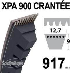 Courroie XPA900 Trapézoïdale crantée. 12,7 mm x 917 mm.