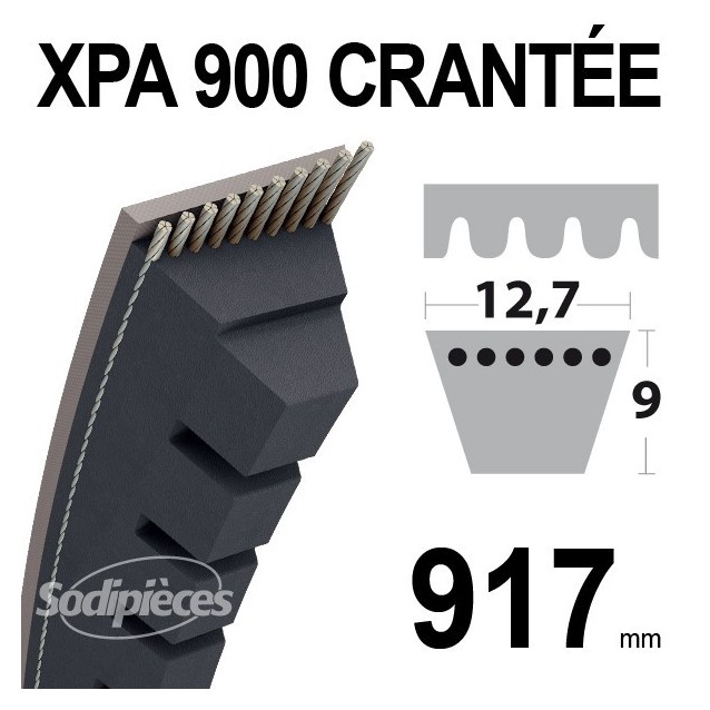 Courroie XPA900 Trapézoïdale crantée. 12,7 mm x 917 mm.