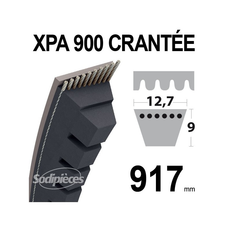 Courroie XPA900 Trapézoïdale crantée. 12,7 mm x 917 mm.