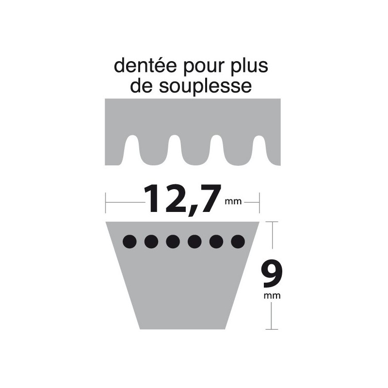 Courroie XPA900 Trapézoïdale crantée. 12,7 mm x 917 mm.