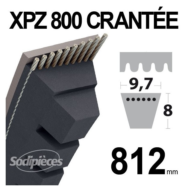 Courroie XPZ800 Trapézoïdale crantée. 9,7 mm x 812 mm.