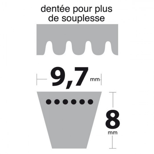 Courroie XPZ800 Trapézoïdale crantée. 9,7 mm x 812 mm.