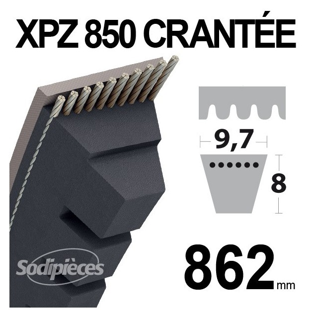 Courroie XPZ850 Trapézoïdale Crantée. 9,7 mm x 962 mm.