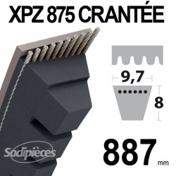 Courroie XPZ875 Trapézoïdale crantée. 9,7 mm x 887 mm.