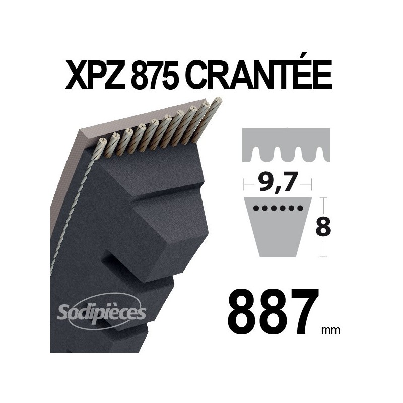 Courroie XPZ875 Trapézoïdale crantée. 9,7 mm x 887 mm.