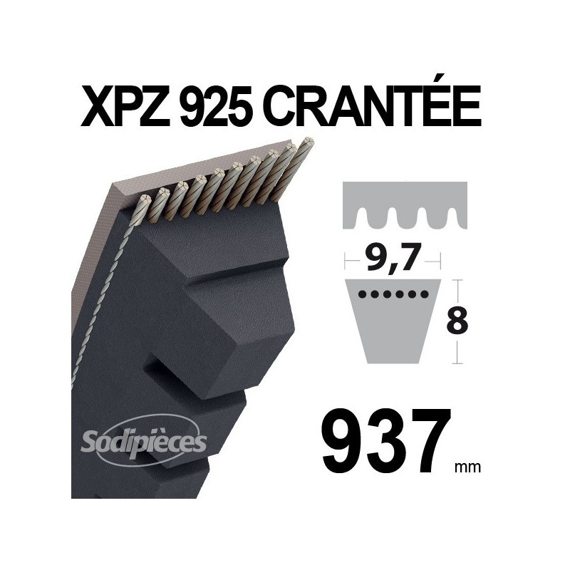 Courroie XPZ925 Trapézoïdale crantée. 9,7 mm x 937 mm.