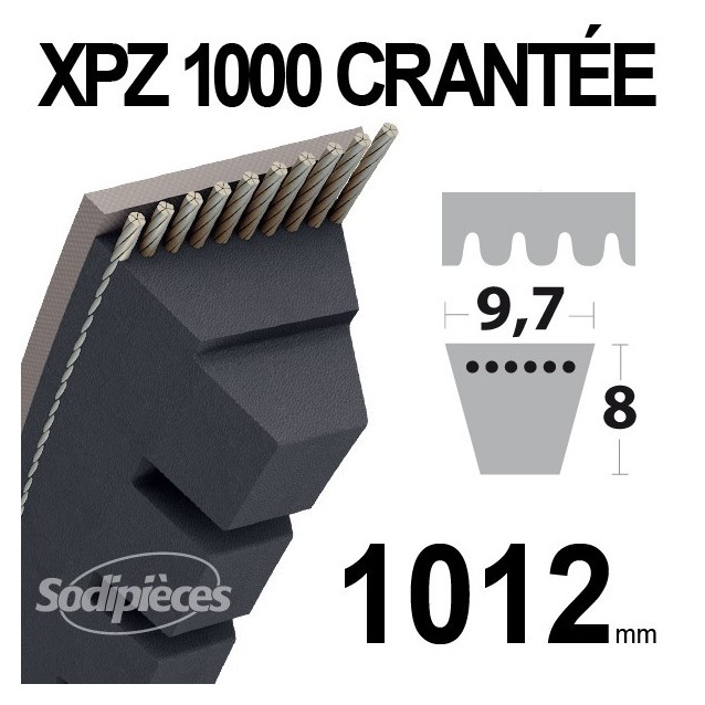 Courroie XPZ1000 Trapézoïdale crantée. 9,7 mm x 1012 mm.