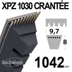 Courroie XPZ1030 Trapézoïdale crantée. 9,7 mm x 1042 mm.