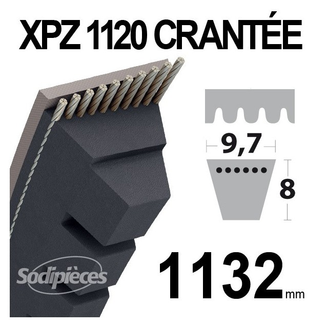 Courroie XPZ1120 Trapézoïdale crantée. 9,7 mm x 1132 mm.