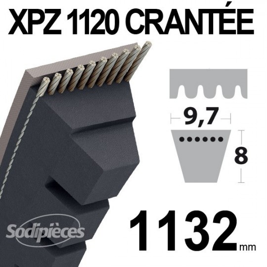 Courroie XPZ1120 Trapézoïdale crantée. 9,7 mm x 1132 mm.