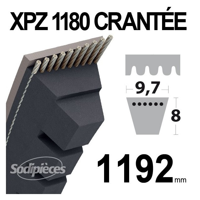 Courroie XPZ1180 Trapézoïdale crantée. 9,7 mm x 1192 mm.