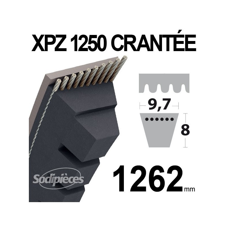 Courroie XPZ1250 Trapézoïdale crantée. 9,7 mm x 1262 mm.