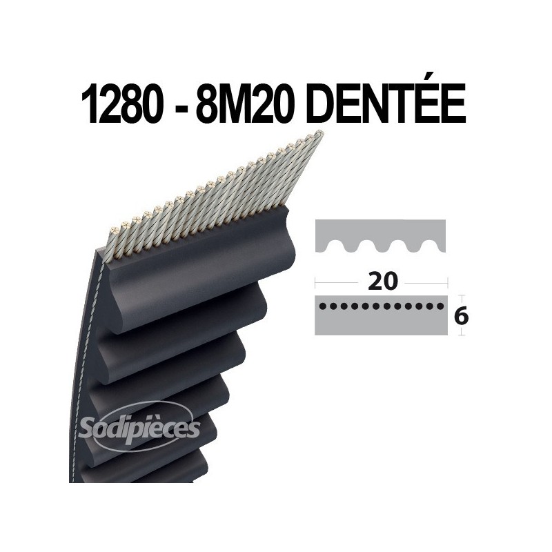 Courroie 1280-8M20 Simple Denture. Larg : 20 mm x 1280 mm.