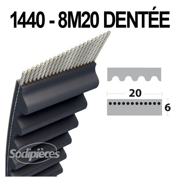 Courroie 1440-8M20 Simple Denture. Larg : 20 mm x 1440 mm.