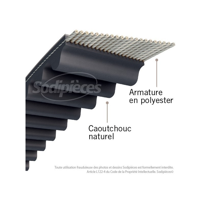 Courroie 1440-8M20 Simple Denture. Larg : 20 mm x 1440 mm.