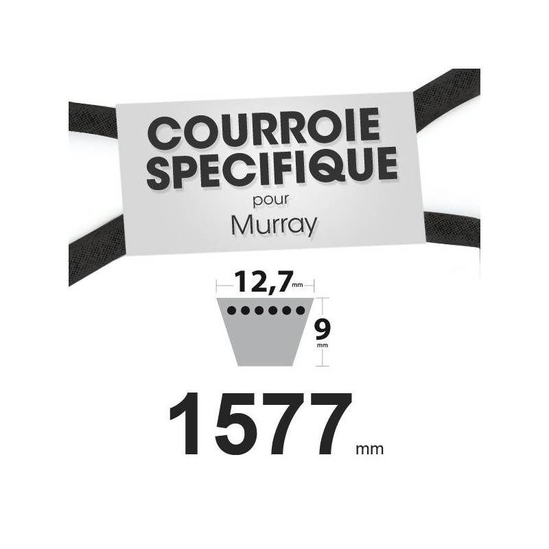 Courroie spécifique Murray 37 x 40, 23748, 37 x 21. 12,7 mm x 1577 mm.