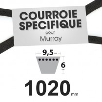 Courroie spécifique Murray 37 x 49. 9,5 mm x 1020 mm.