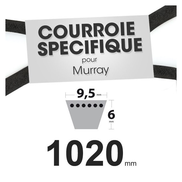 Courroie spécifique Murray 37 x 49. 9,5 mm x 1020 mm.
