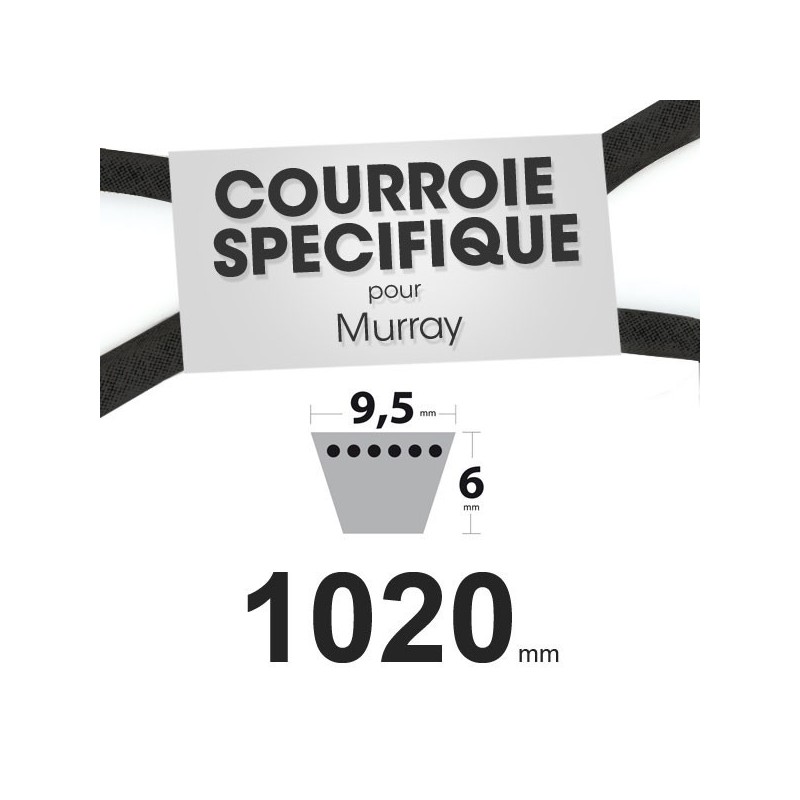 Courroie spécifique Murray 37 x 49. 9,5 mm x 1020 mm.