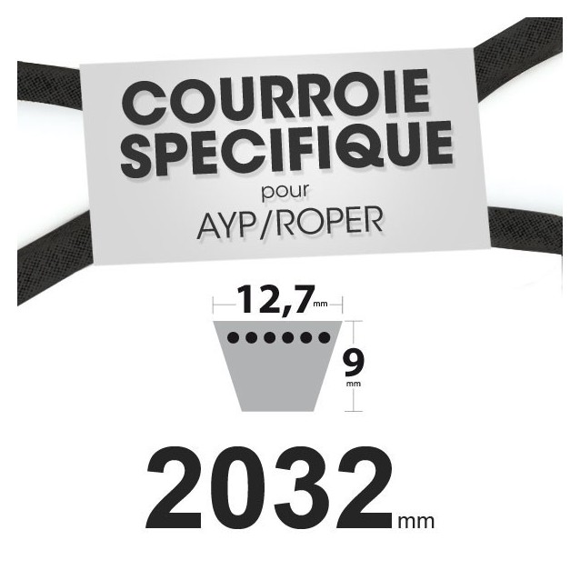 Courroie spécifique AYP/Roper 124293X. 12,7 mm x 2032 mm.