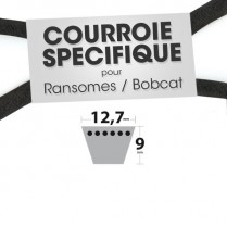 Courroie spécifique Ransomes 38030 N. 12,7 mm x 2362,2 mm.