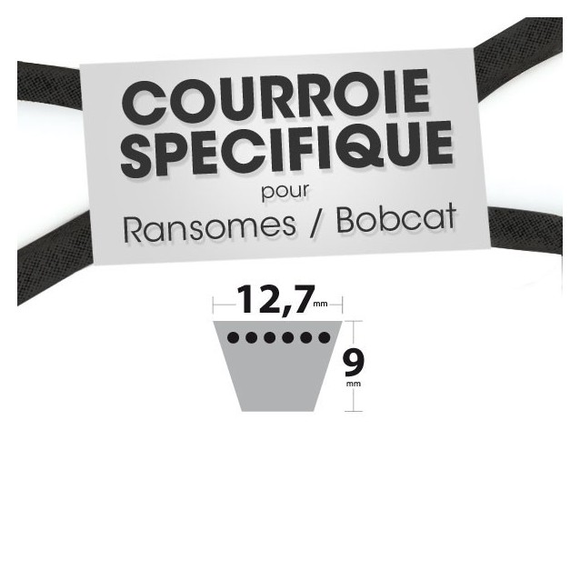 Courroie spécifique Ransomes 38030 N. 12,7 mm x 2362,2 mm.