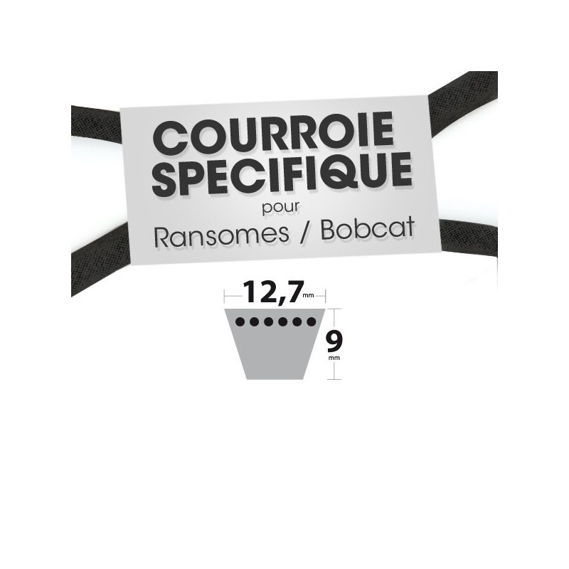 Courroie spécifique Ransomes 38031 N. 12,7 mm x 0 mm.