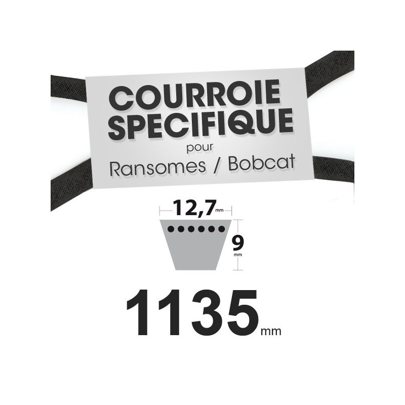 Courroie spécifique Ransomes 38249. 12,7 mm x 1135 mm.
