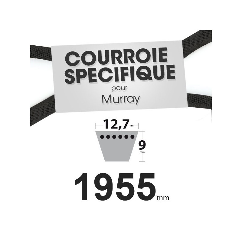 Courroie spécifique Murray 37 x 70. 12,7 mm x 1955 mm.