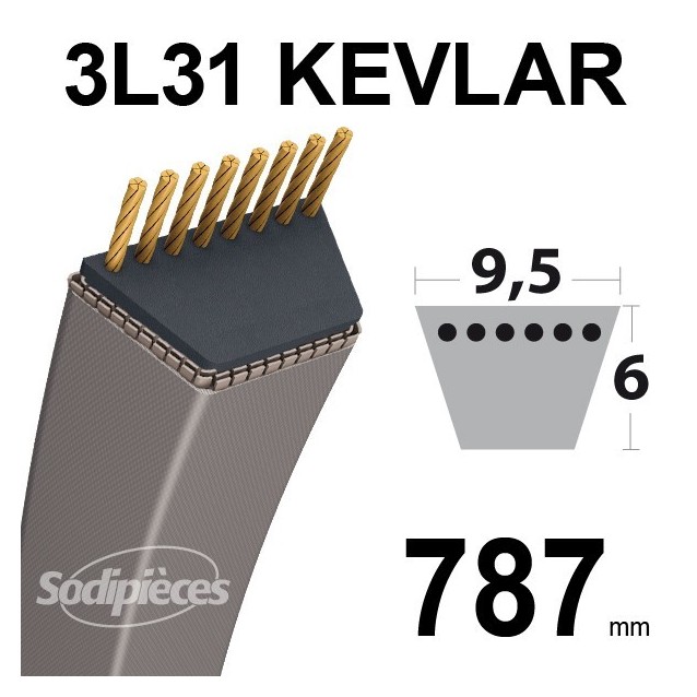 Courroie 3L31 Kevlar Trapézoïdale. 9,5 mm x 787 mm.