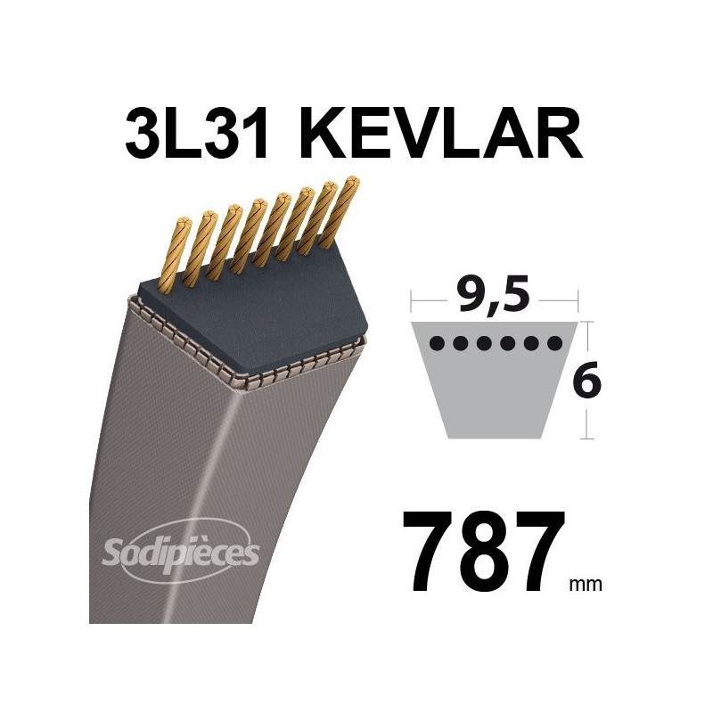 Courroie 3L31 Kevlar Trapézoïdale. 9,5 mm x 787 mm.