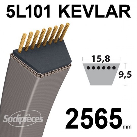 Courroie 5L101 Kevlar Trapézoïdale. 15,8 mm x 2565 mm.