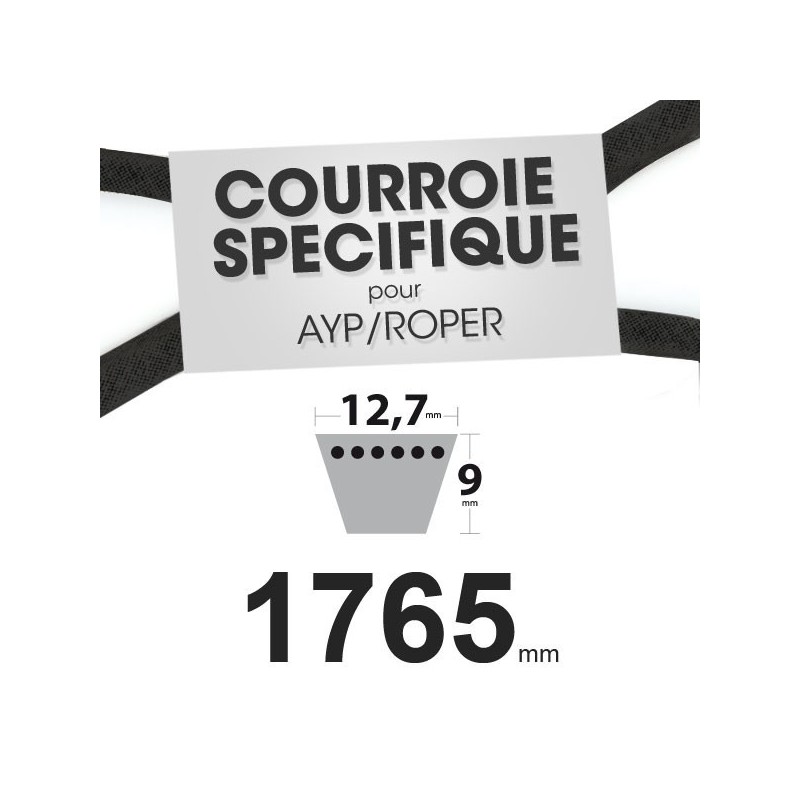 Courroie spécifique AYP/Roper 62828. 12,7 mm x 1765 mm.