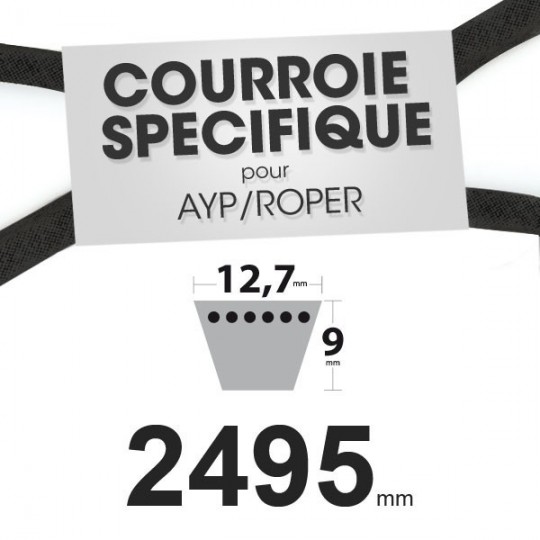 Courroie spécifique AYP/Roper 131006. 12,7 mm x 2495 mm.