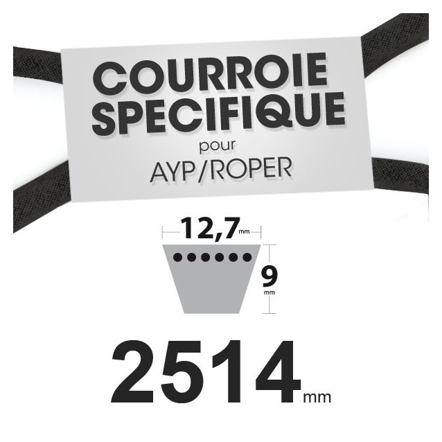 Courroie spécifique AYP/Roper 110883X. 12,7 mm x 2514 mm.