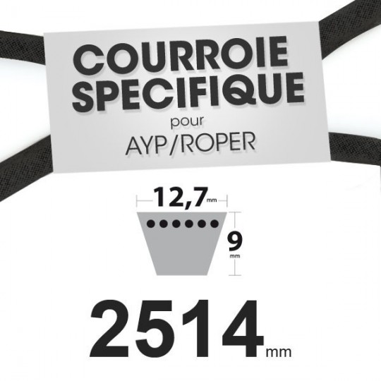 Courroie spécifique AYP/Roper 110883X. 12,7 mm x 2514 mm.