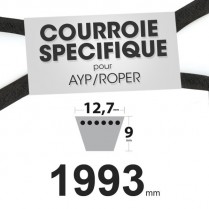 Courroie spécifique AYP/Roper 131264. 12,7 mm x 1993 mm.