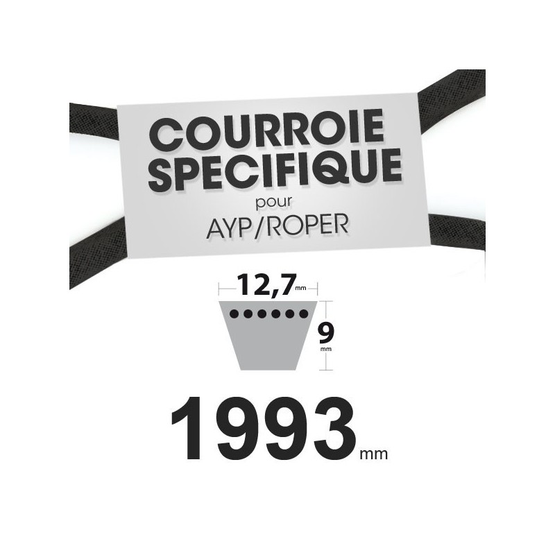 Courroie spécifique AYP/Roper 131264. 12,7 mm x 1993 mm.