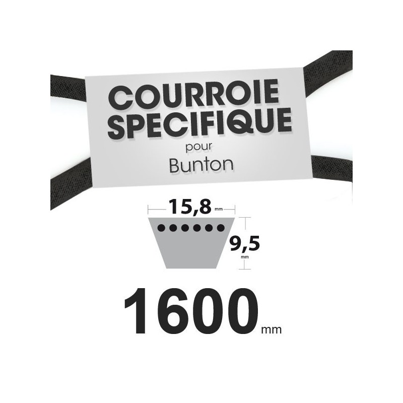 Courroie spécifique Bunton PL4732. 15,8 mm x 1600 mm.